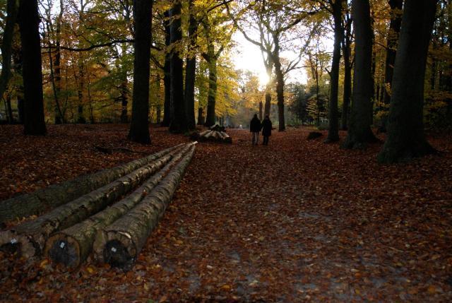 De Patrijs Villa Oudemirdum Buitenkant foto