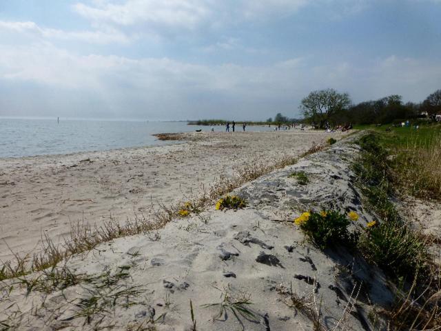 De Patrijs Villa Oudemirdum Buitenkant foto