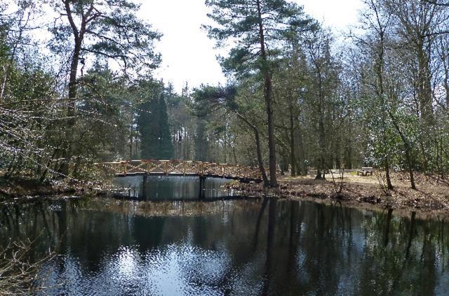 De Patrijs Villa Oudemirdum Buitenkant foto