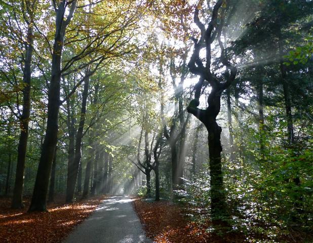 De Patrijs Villa Oudemirdum Buitenkant foto