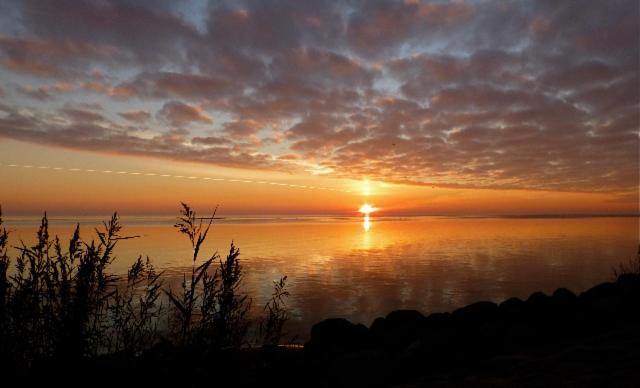 De Patrijs Villa Oudemirdum Buitenkant foto
